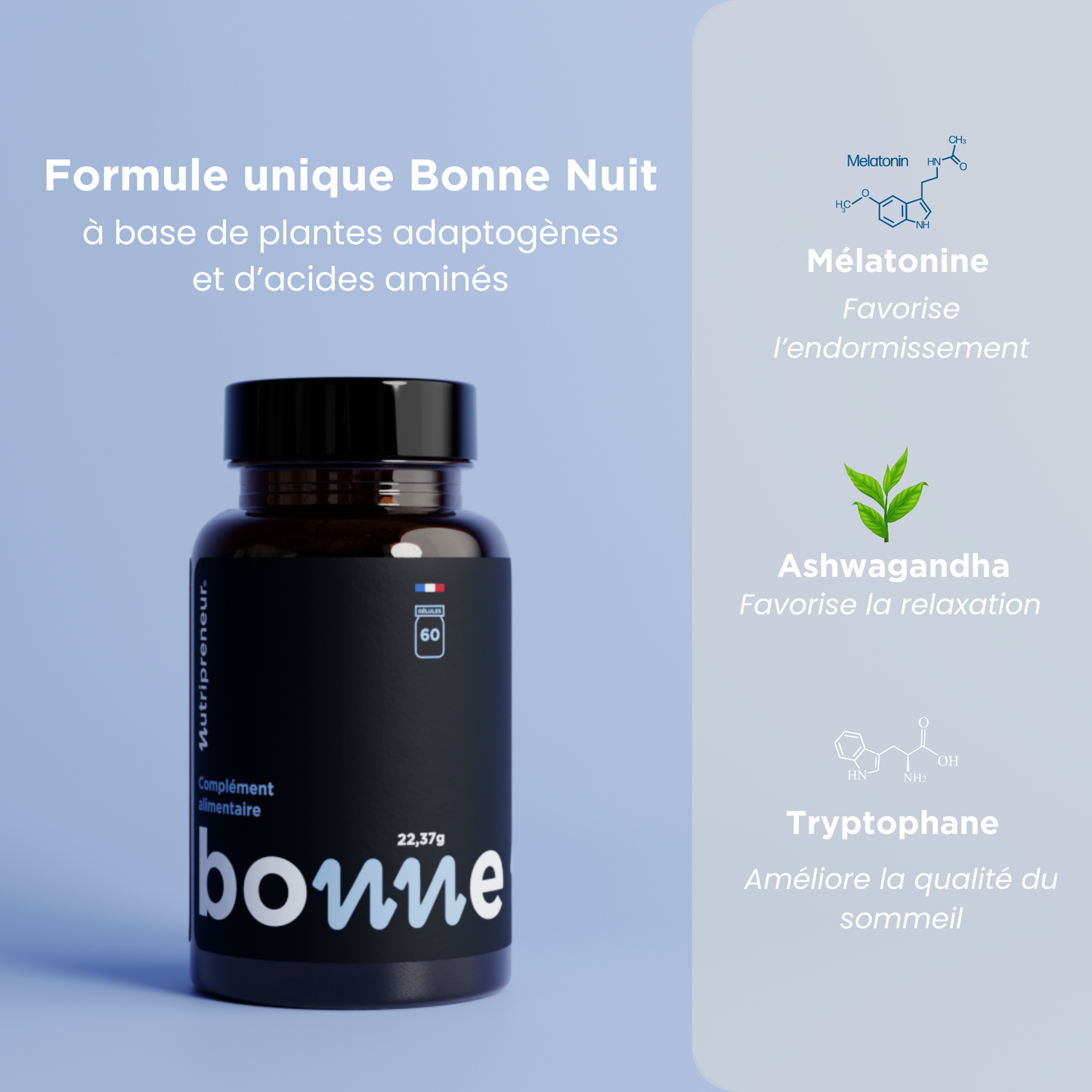 Bonne Nuit